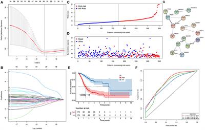 A Novel RNA-Binding Protein Signature to Predict Clinical Outcomes and Guide Clinical Therapy in Gastric Cancer